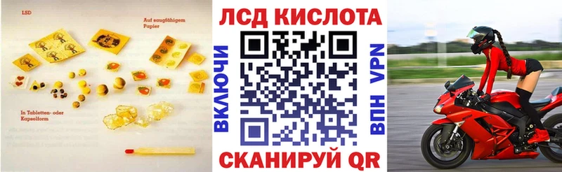 дарнет шоп  Гай  ЛСД экстази кислота 