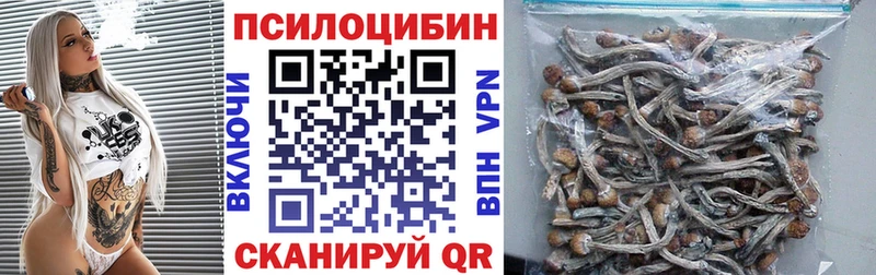 Галлюциногенные грибы мицелий  Гай 